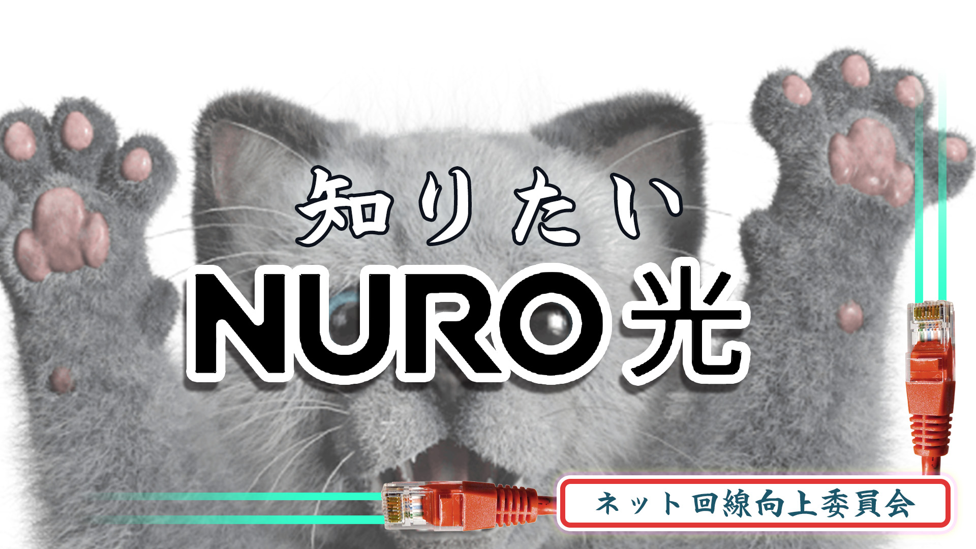 知りたいNURO光