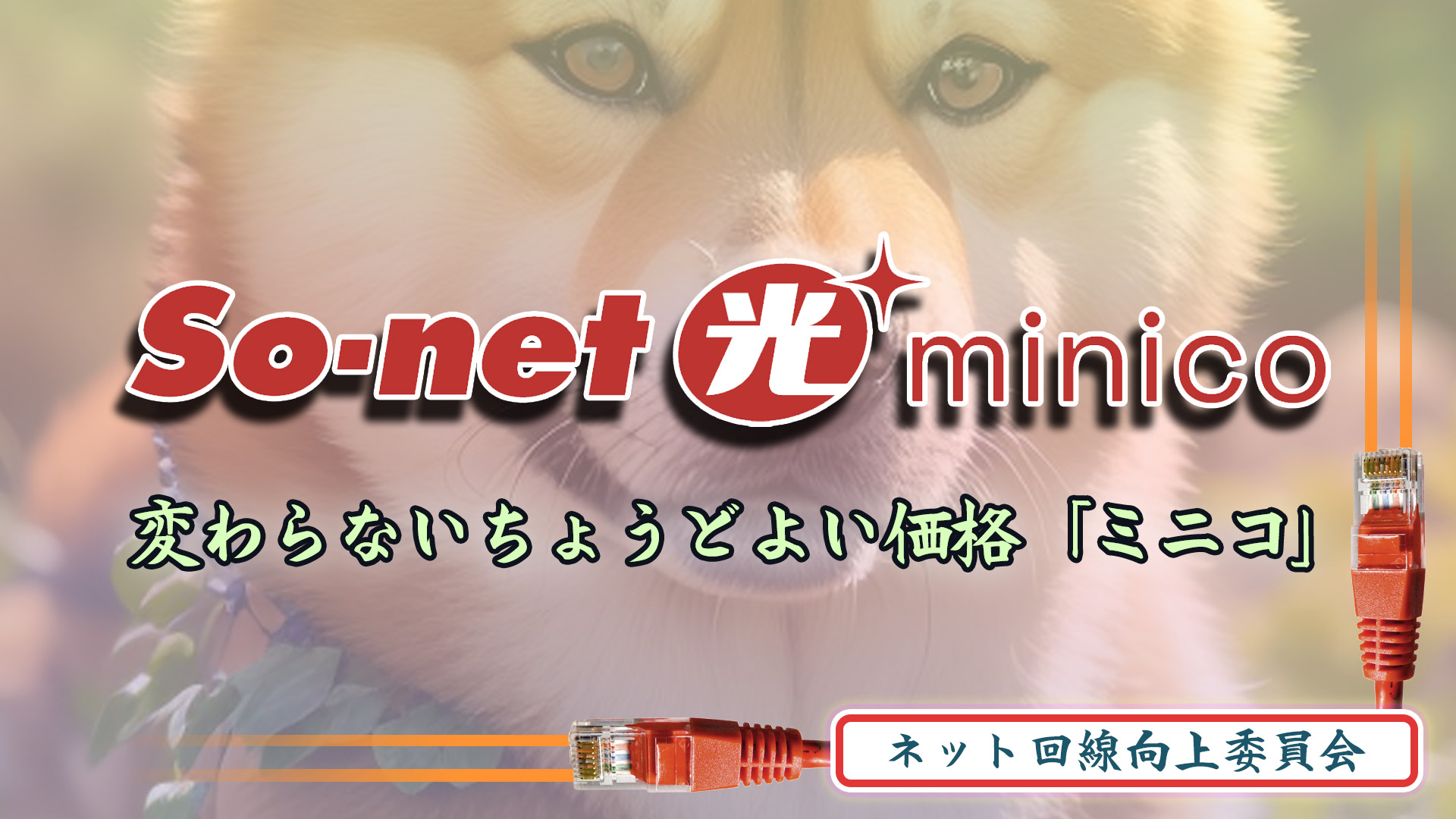 変わらないちょうどよい価格【minico】